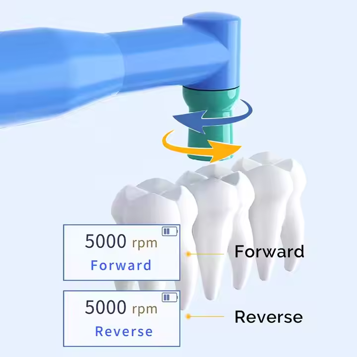 Cordless Brushless Hygiene Dental polishing/Prophy Handpiece Dental Polisher handpiece - 图片 3