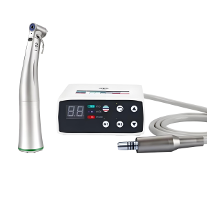 Electric motor and Micro motor