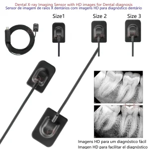 Hot Sale RVG Dental Sensor with Holder Faster/Recycle/Durable USB Dental X Ray Sensor IntraOral Camera Digital RVG Sensor