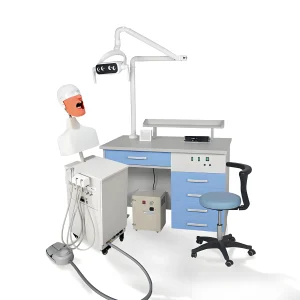 Dental Simulation Dental Simulator System for Training